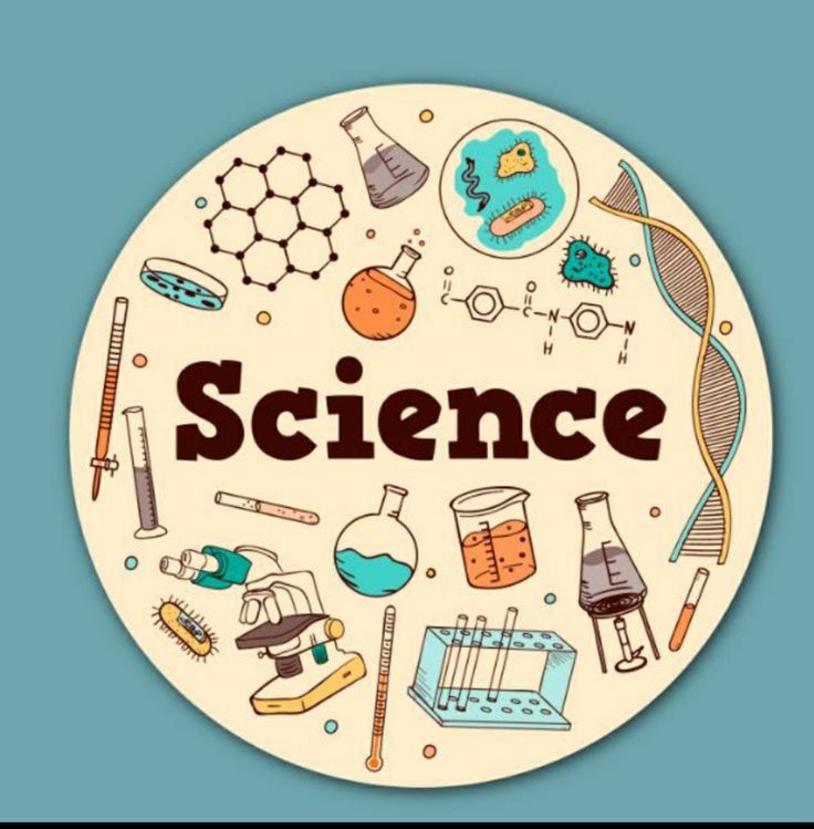 SCIENCE